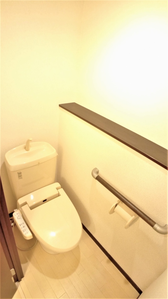 レオネクストルナルミエール越谷101号室 部屋その他