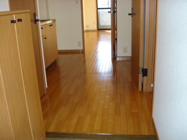 ルミナスワン 玄関