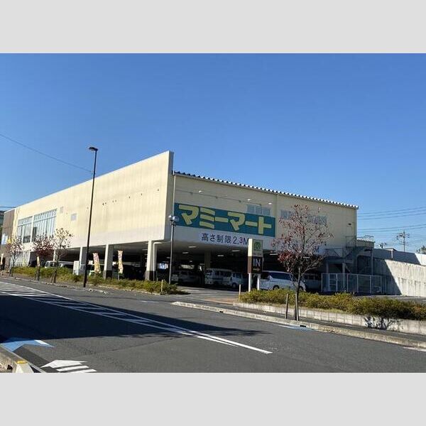 フレシール マミーマート南中丸店　(210m)