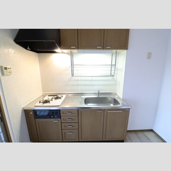 エコーハイツマルオカ システムキッチン