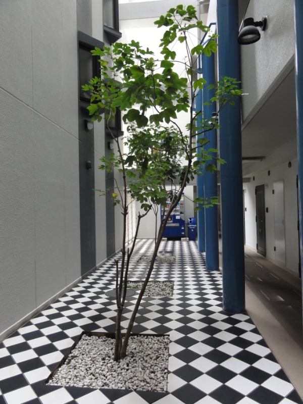 クリオ相武台弐番館5階 部屋その他