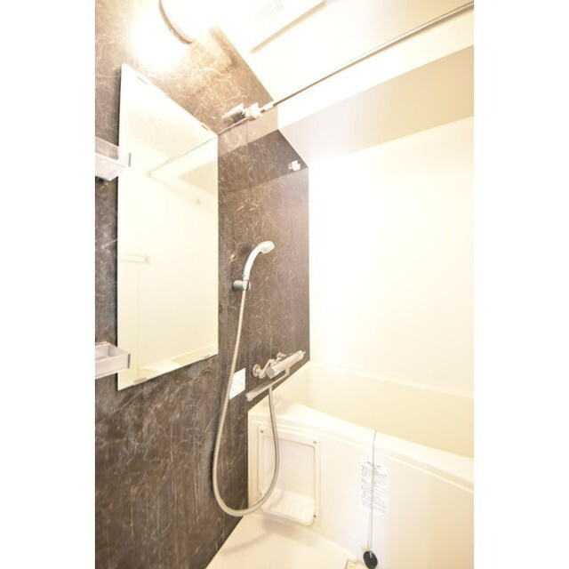 Court Blanche0406号室 内観