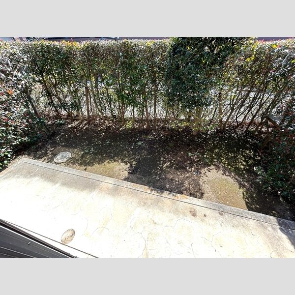 ロイヤルガーデン　壱～七番館3102号室 専用庭