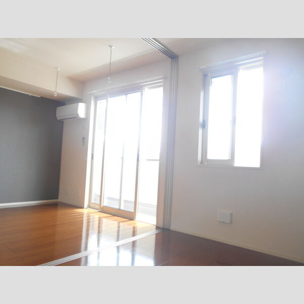 イルソーレ吉川美南　ジャッロ202号室 洋室