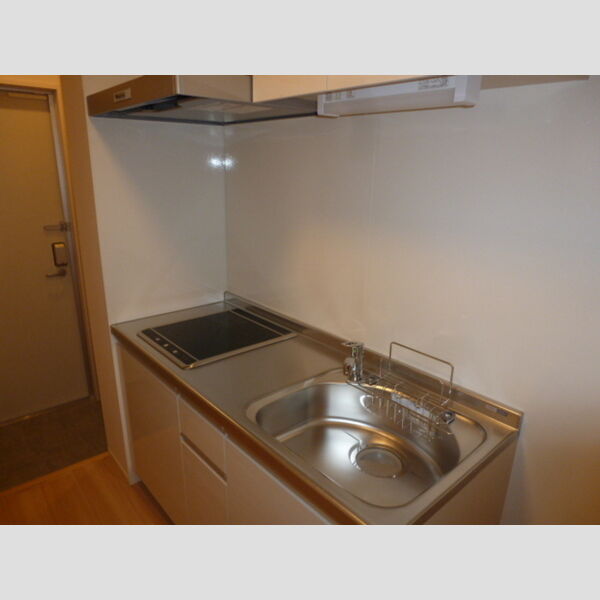 エギスハイム IHクッキングヒーター