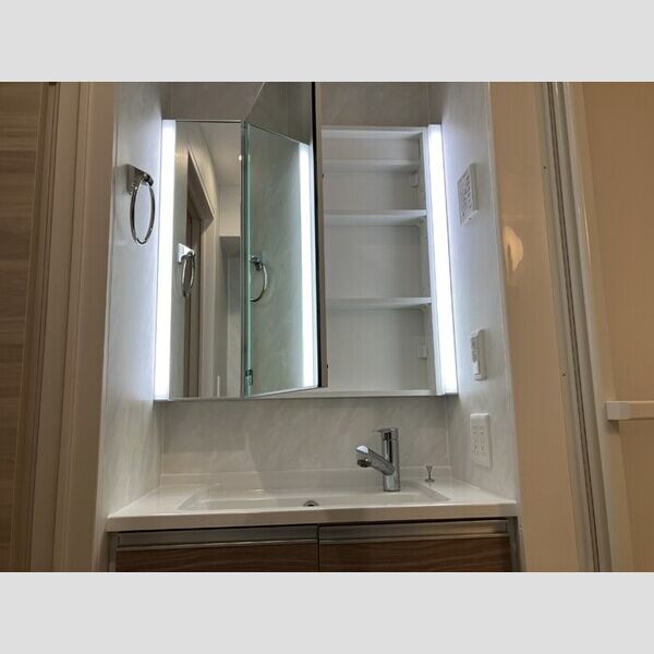 ホープドリームハウス205号室 洗髪洗面化粧台