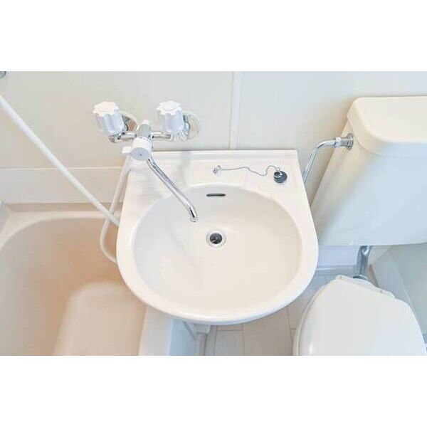 メゾン・ド・モワイエ 洗面