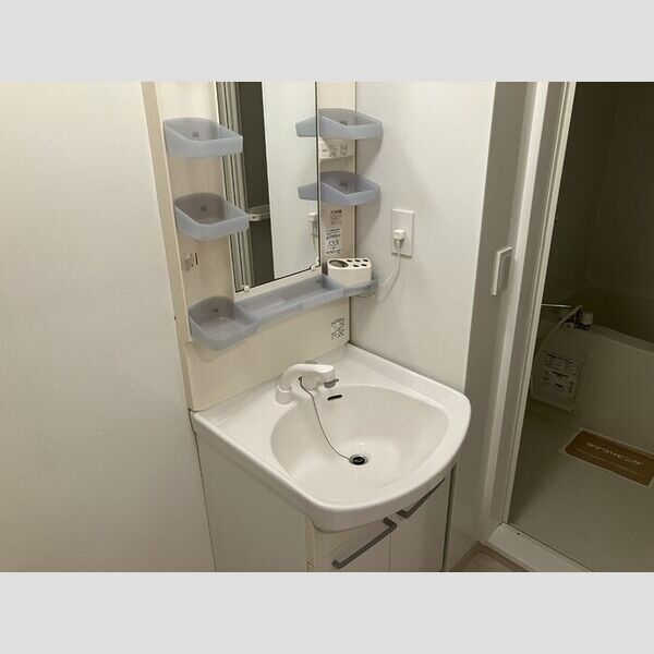 パレンティーアコート306号室 洗髪洗面化粧台