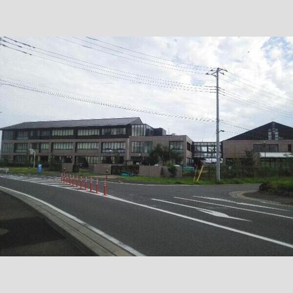 メタセコイア 小学校