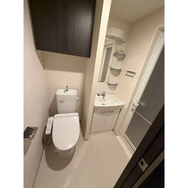 ラフィスタ調布多摩川404号室 洗面