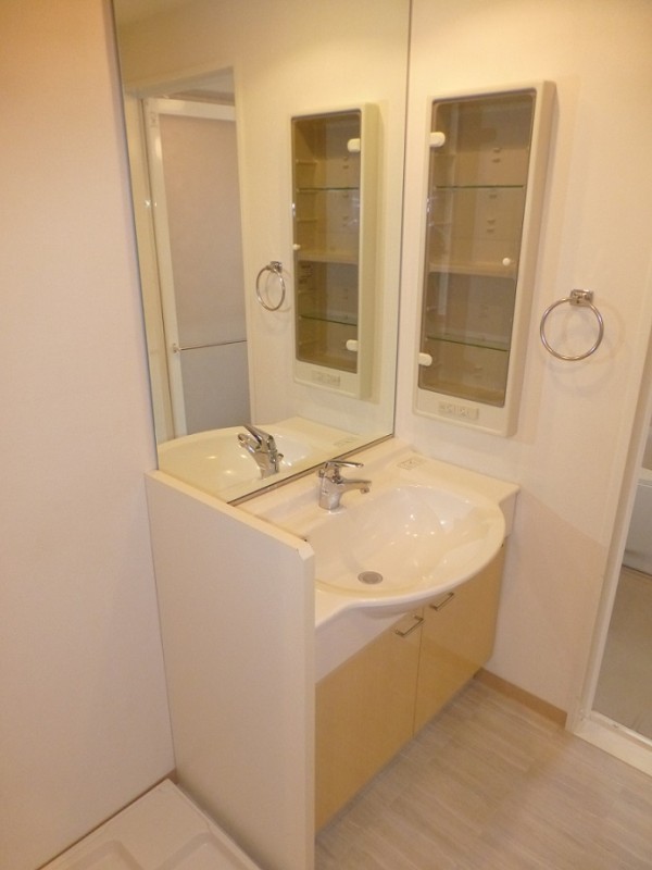 レジディア島津山11階 洗面