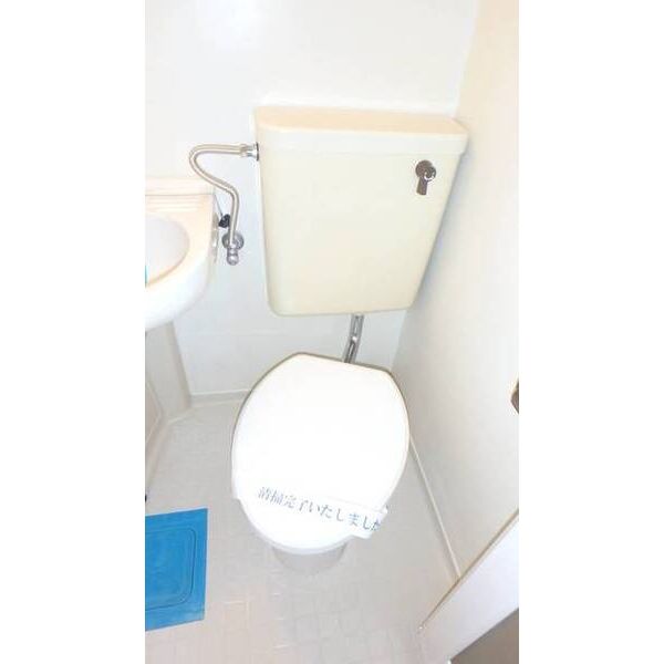 サンホワイト富士見0307号室 トイレ