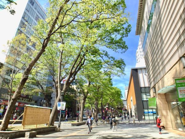 オクト・フラッツ・Ｋ4階 部屋その他