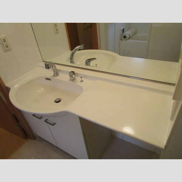 メゾン　ド　SATOMI　A棟101号室 洗髪洗面化粧台