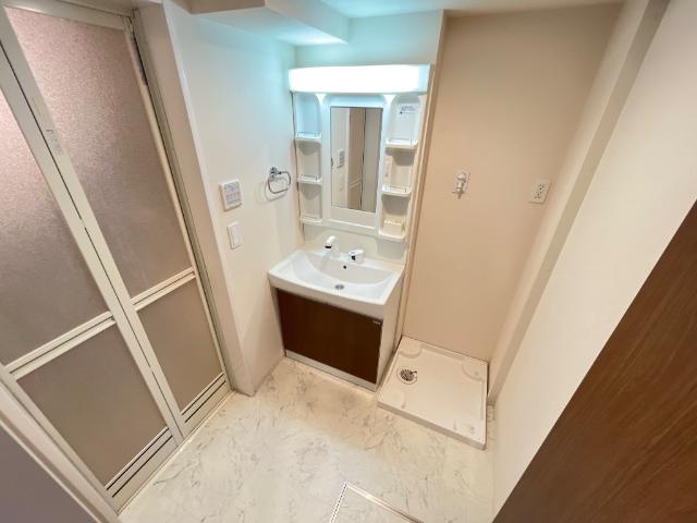 セレーナクオーレ106号室 洗面