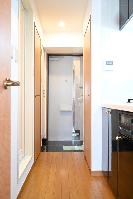 菱和パレス田園調布東3階 玄関
