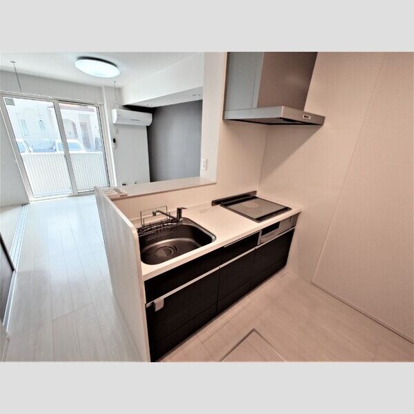 パレス　グランディオーサ110号室 システムキッチン