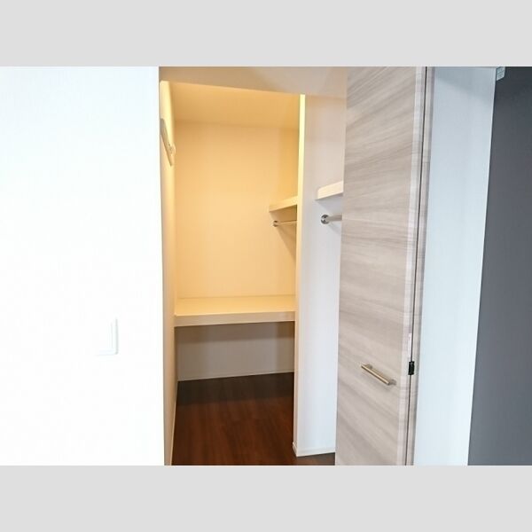 ロイジェントパークス レイクタウン Ⅱ　M202号室 収納