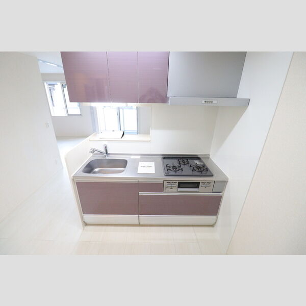 グリーングラス システムキッチン