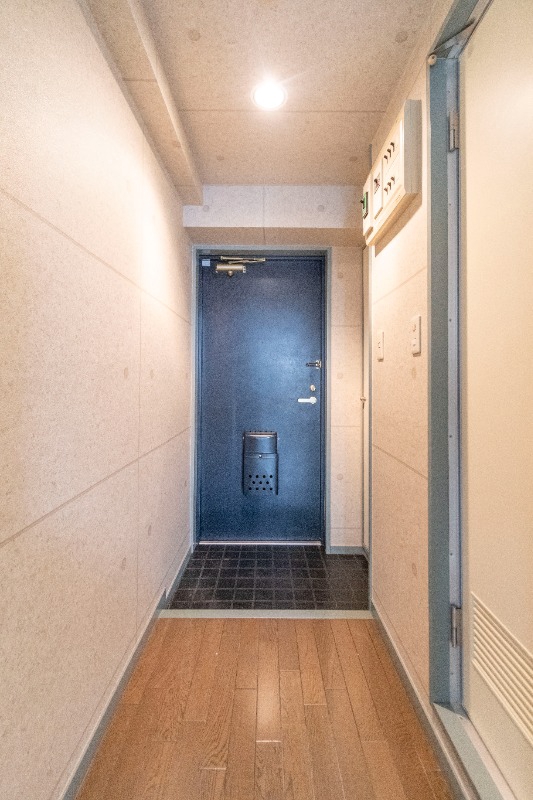 ビッグストーン池袋2階 玄関