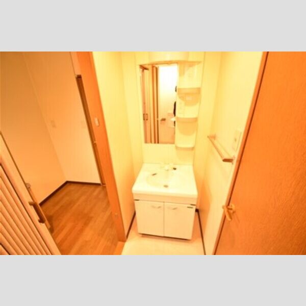 リビングタウン厚木106号室 洗面所