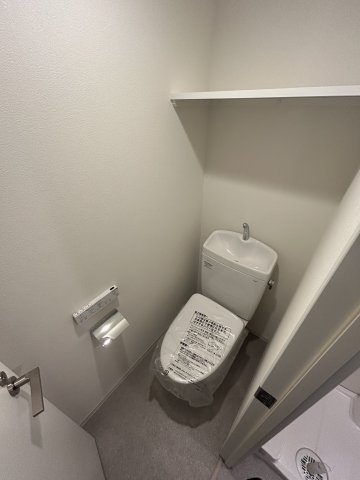 Ｓｏｕｔｈｅｒｎ　Ｖｉｌｌａｇｅ湘南0902号室 トイレ