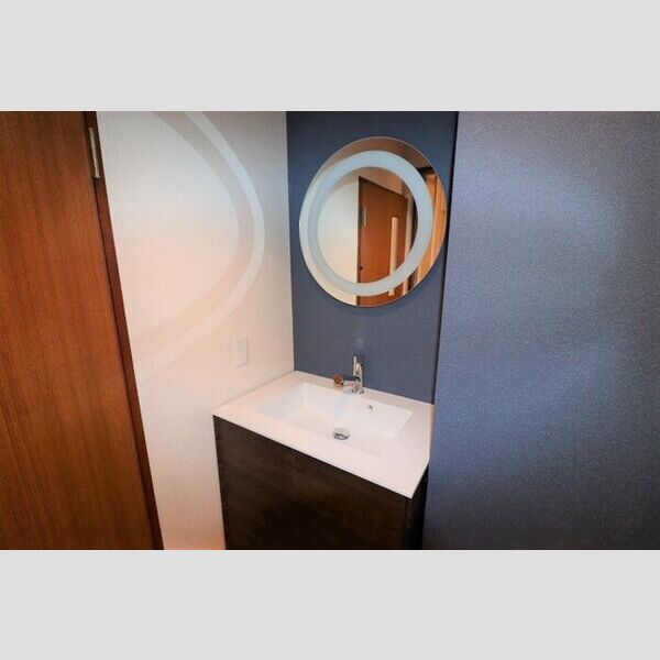 ルイメゾン2 洗面所