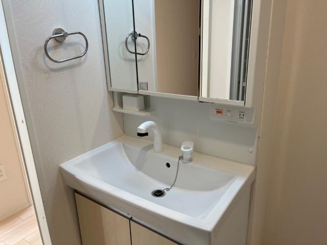 エピナール南流山 洗面