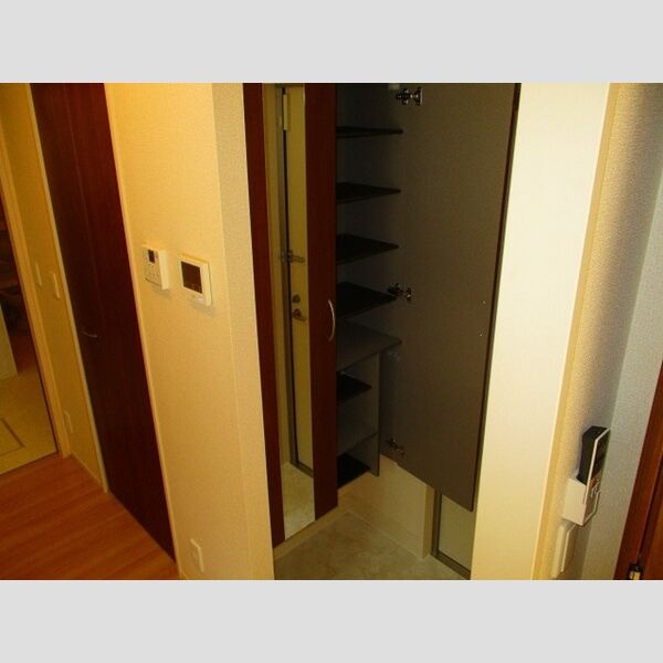 Pegasus Okubo シューズBOX