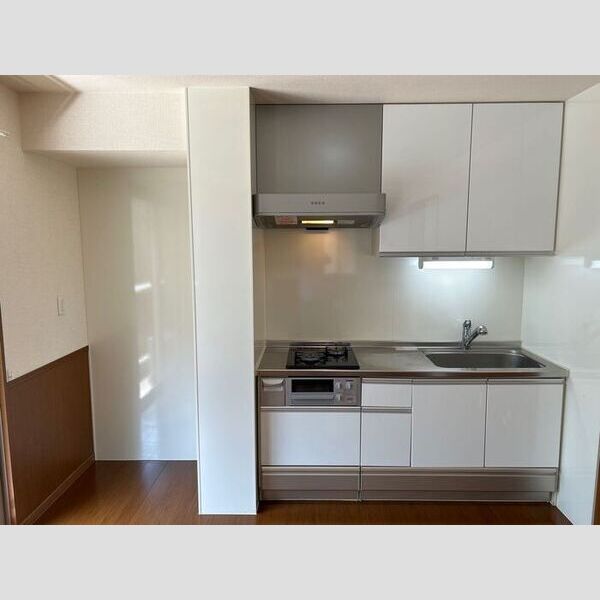 サキクサノ郷Ⅲ システムキッチン