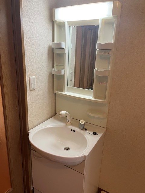 アビターレ南阿佐ヶ谷0103号室 洗面