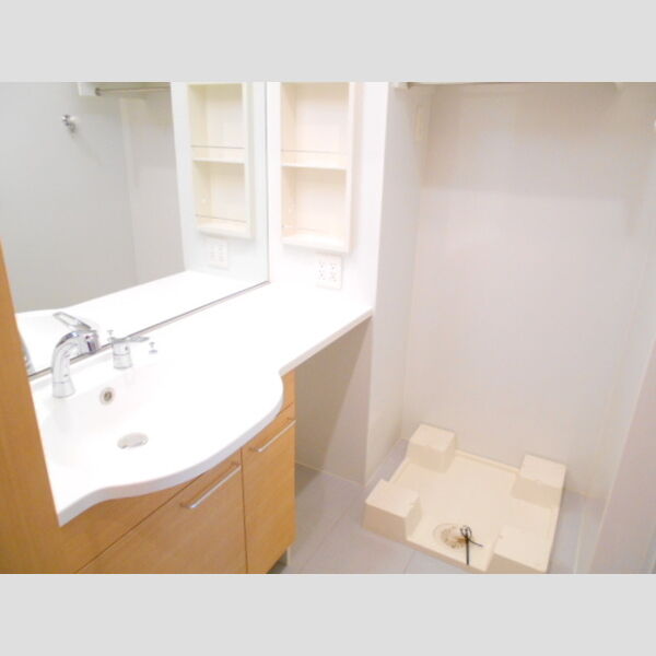 フォレストヒルズ 洗面所