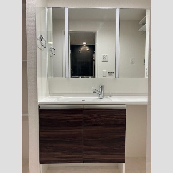 ノーブルラフィネ白幡203号室 洗髪洗面化粧台