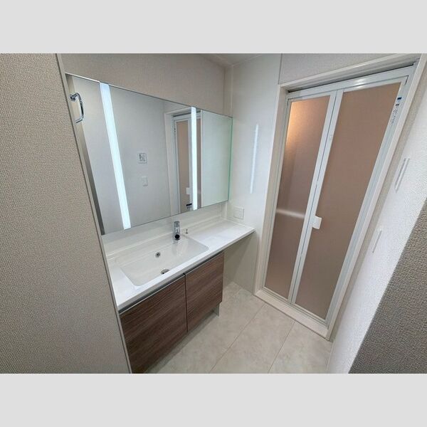 ゼラニウム湘南台203号室 洗面所