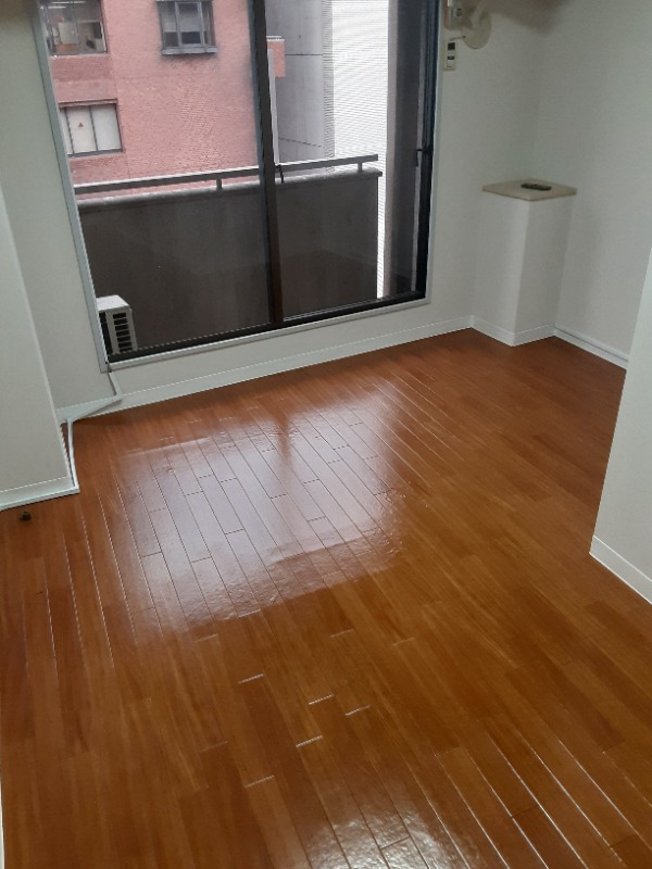 ビスハイム池袋9階 部屋その他