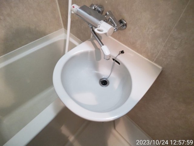 フェニックス芝アストラーレ3階 洗面