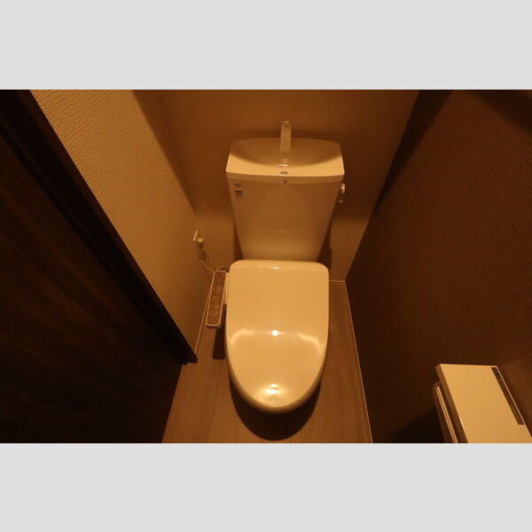 ディーエスペランサ101号室 トイレ