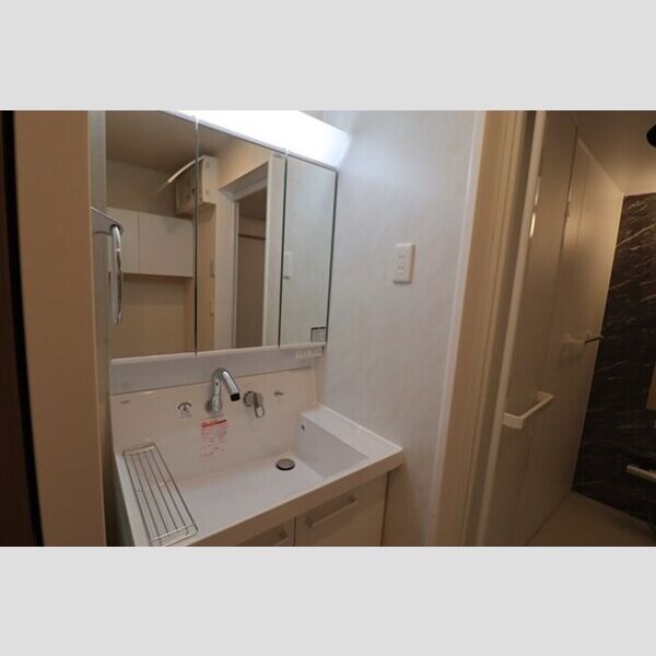 Ferro　Pino306号室 洗面所