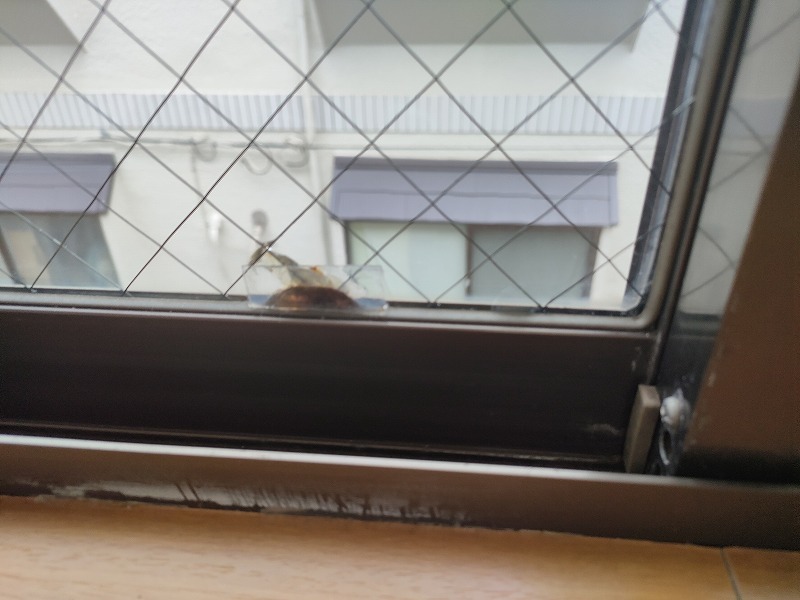 カサブランカ西葛西2階 部屋その他