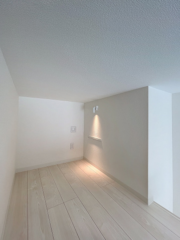 スカイルーチェ川口芝中田103号室 ロフト