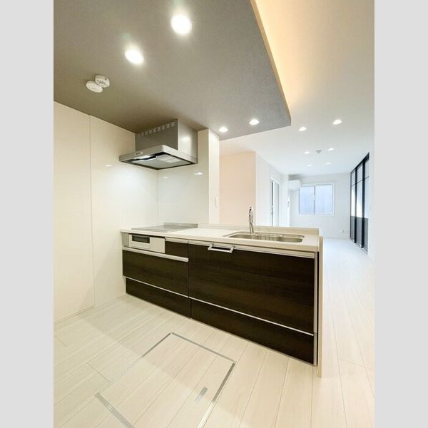 D-PRECIOUS武蔵野101号室 キッチン