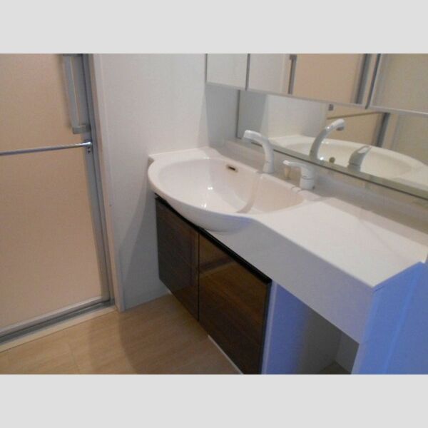 フェリス　コート 洗面所