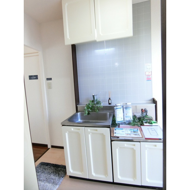 メゾンポンムＡ101号室 框デザイン扉のキッチン