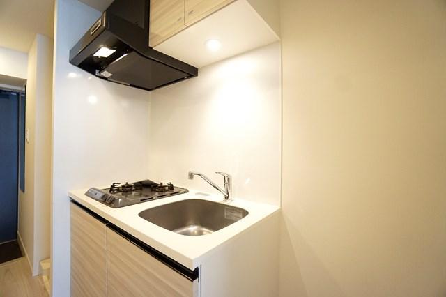 ・レオーネ南千住Ⅱ4階 玄関