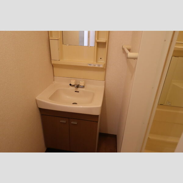 ボナール1996203号室 洗面