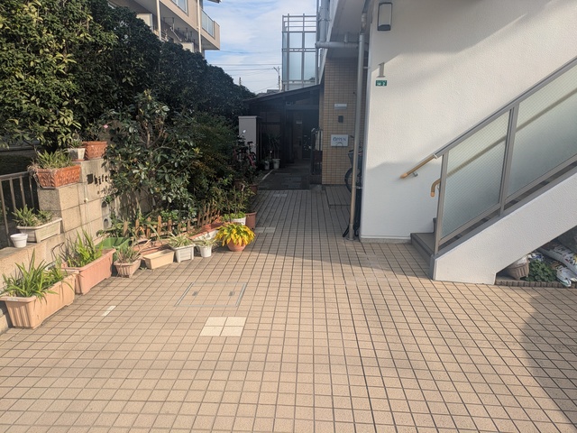 ホワイトヘイヴン0202号室 エントランス