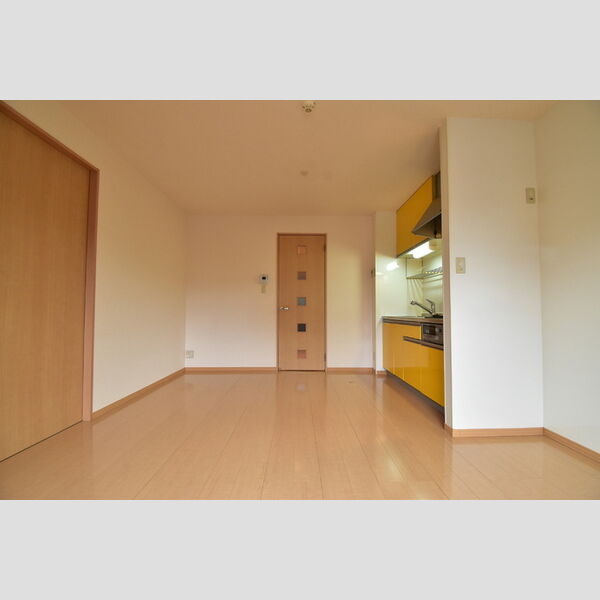 リビングタウン西寺方町211号室 LDK10帖