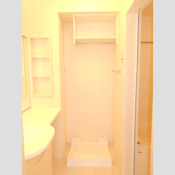 ラ・ルーチェ(川越)102号室 洗面