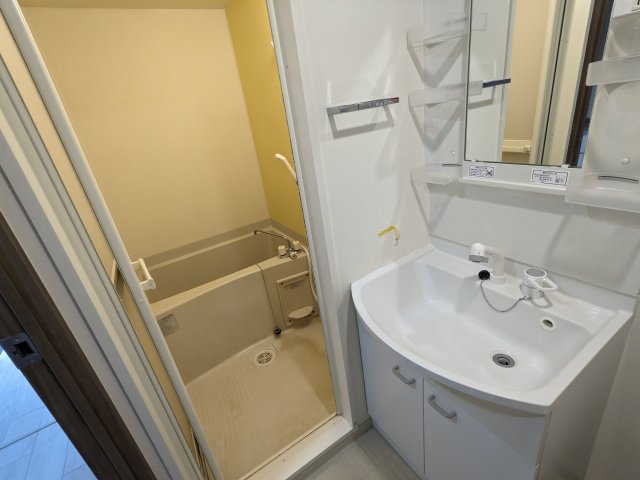 ルポール北加瀬302号室 洗面