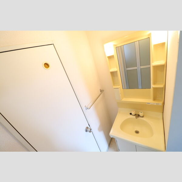 グランディオス久喜205号室 洗髪洗面化粧台